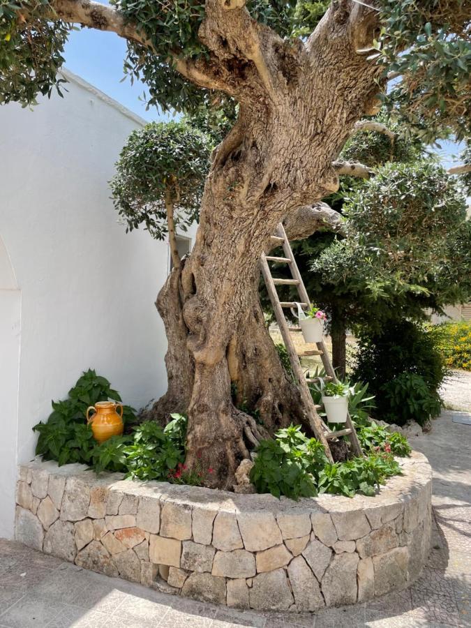 Il Trullo Di Nonno Licchio Vila Alberobello Exterior foto