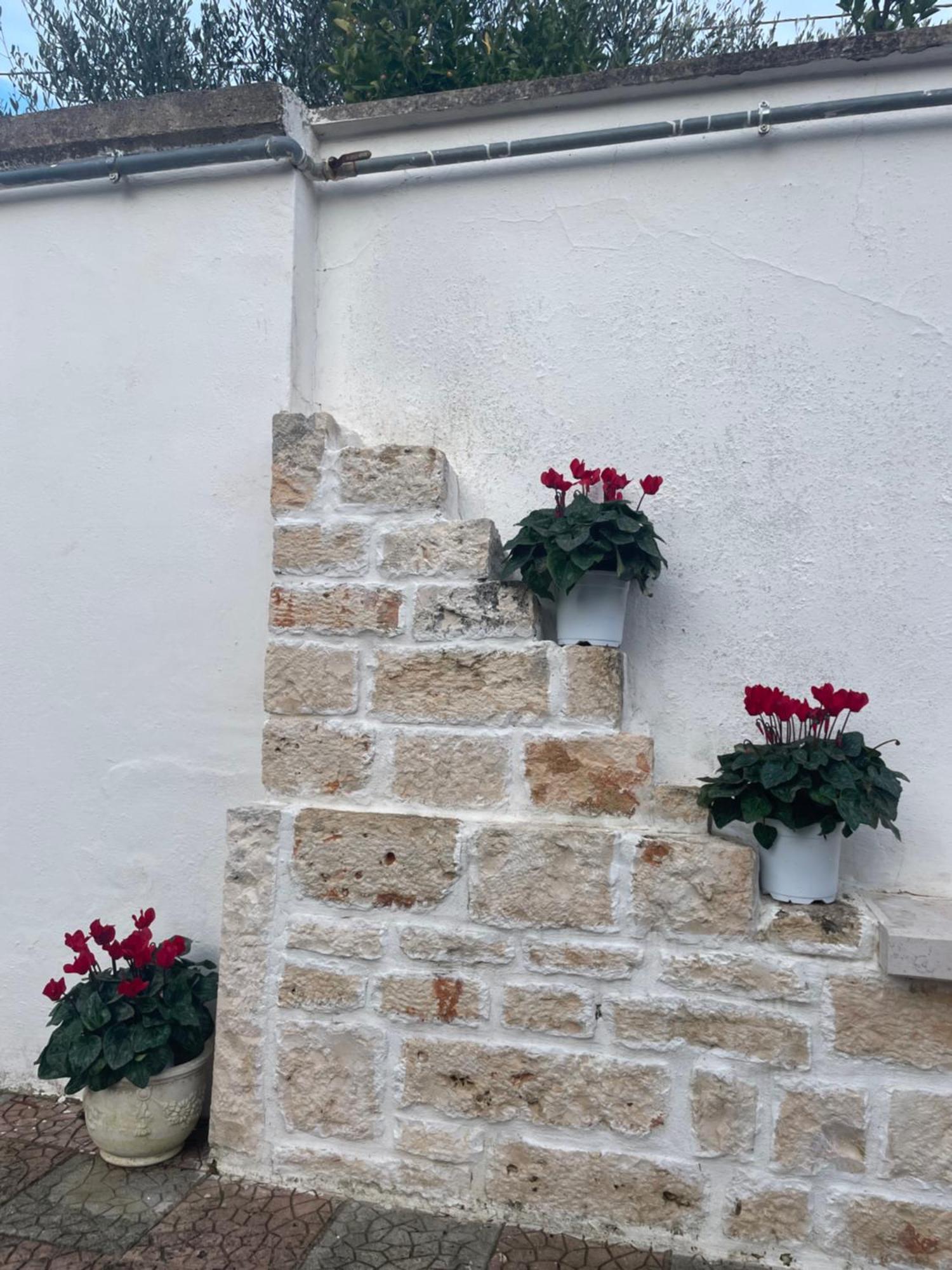 Il Trullo Di Nonno Licchio Vila Alberobello Exterior foto